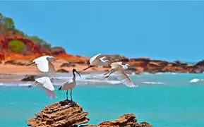 Image de Broome