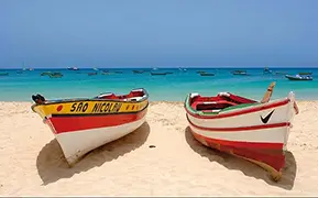 Image de Palmeira