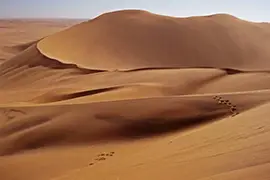 Image de Walvis Bay