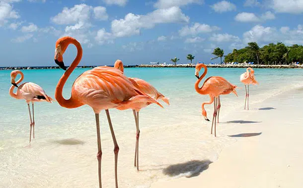 Ile d’Aruba